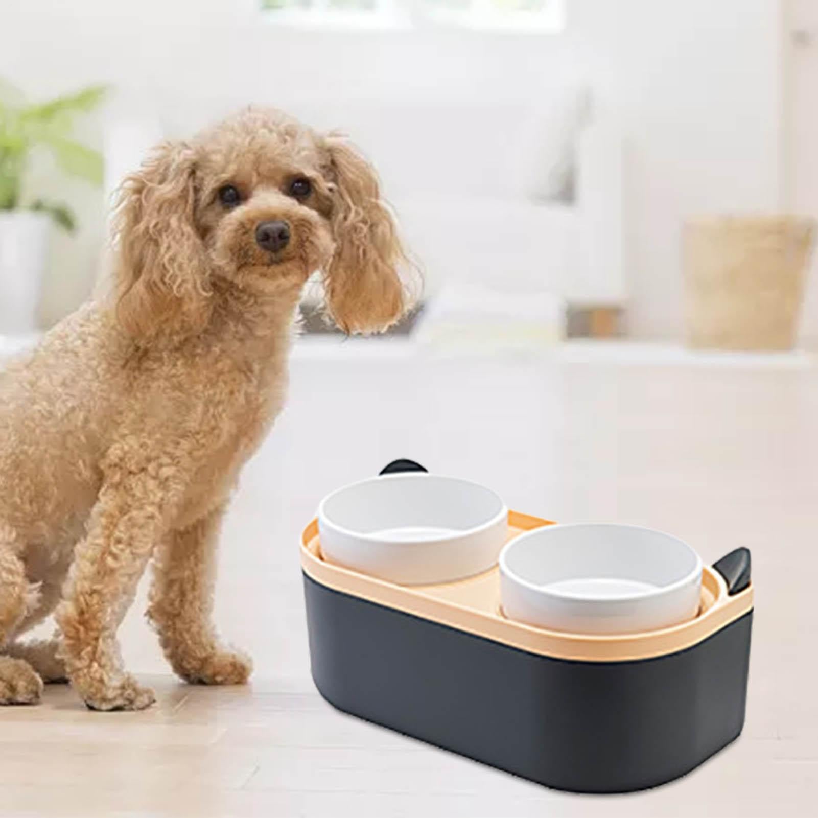 Accessoires de pour chien – Gamelle pour chiot ¦ Station