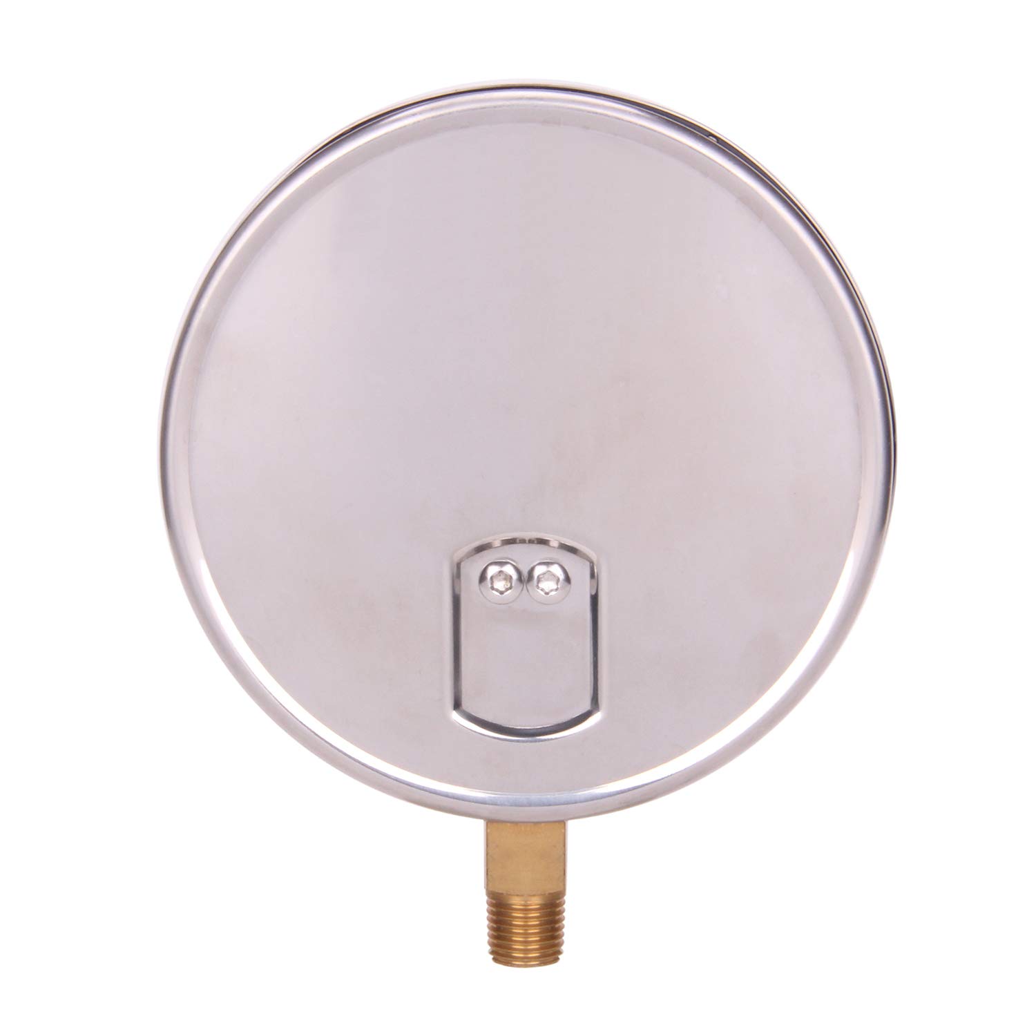 Stainless Steel Pressure Gauge - 0-100PSI -4
