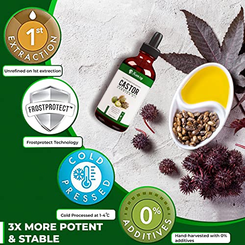 Kanzy Castor Oil for Eyelashes and Eyebrows 50ml Cold Pressed for Hair Growth 100% Natural and Pure with Brushes for Hair Beard - Image 4