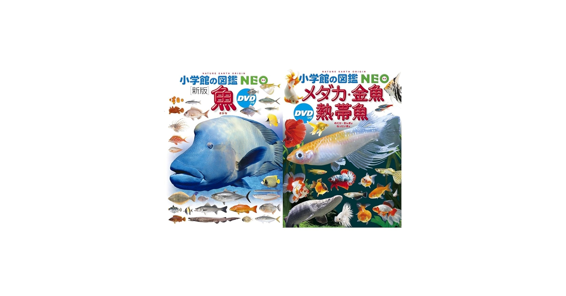 図鑑NEOほか　16冊セット 小学館図鑑neo 講談社MOVE 学研LIVE 図鑑 16冊セット - メルカリ