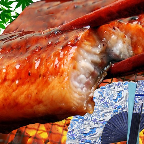 おのみち発 ギフト ギフトセット 土用 丑の日 国産（宮崎県産・鹿児島県産）炭火焼うなぎ蒲焼 特大サイズ 1尾 と 京友禅和柄扇子セット 尾頭付き