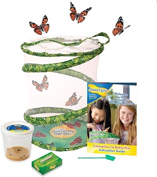 Insect Lore Jardin des Papillons avec Chenilles Vivantes et Habitat Transparent