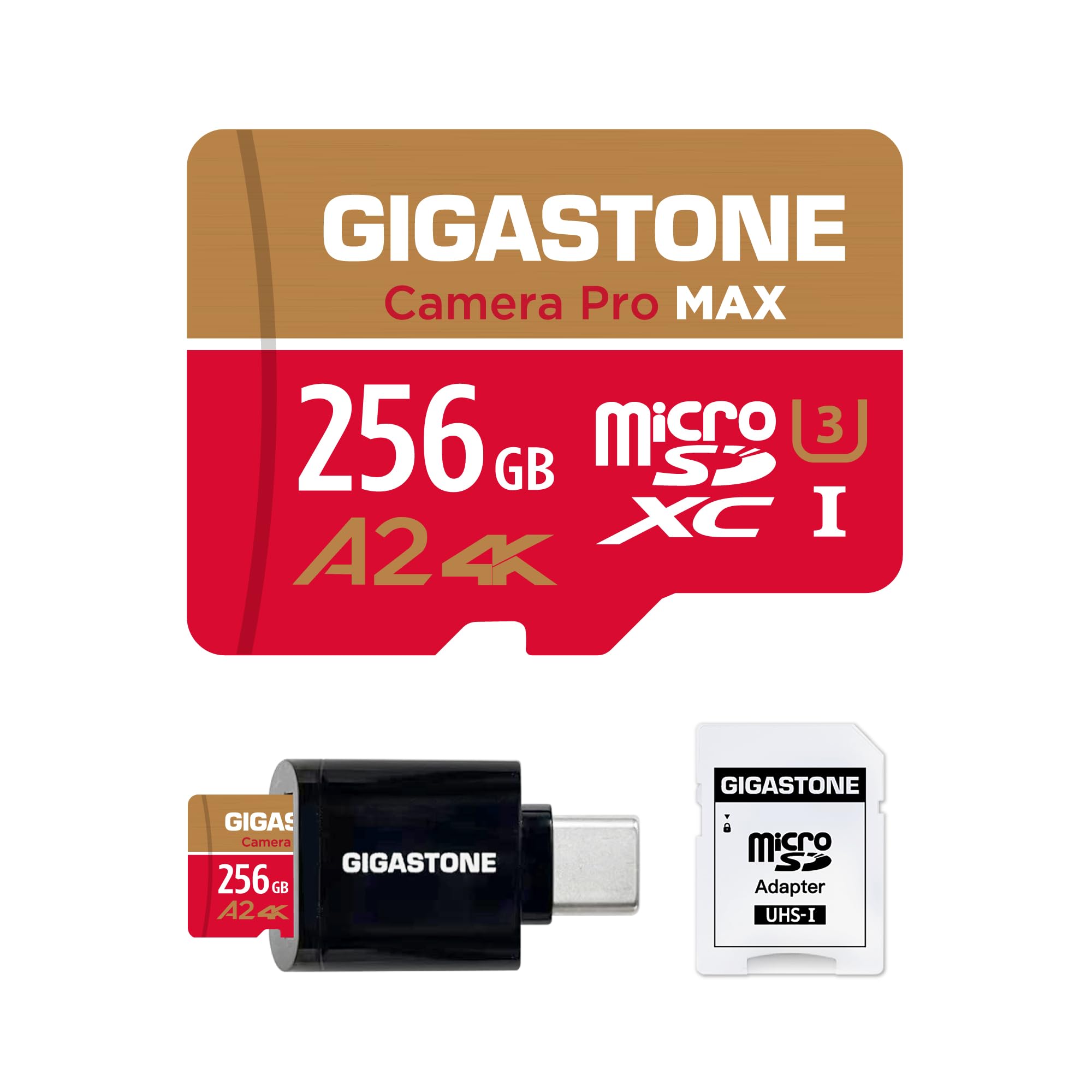 5 Anni Recupero Dati Gratuito] GIGASTONE Scheda di Memoria 128 GB 4K
