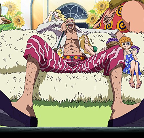 One Piece Punk Hazard Vol 2 DVD con audio original y subtítulos para fans 3