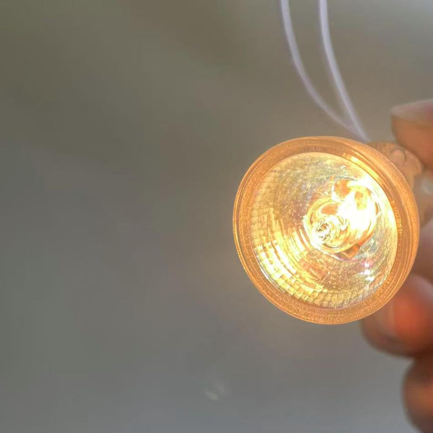 12V 10W MR8 Halogen Light Bulbs 12W 5W MR8 6V 20W Halogen Spot Bulbs MR8 24V 5W Dimmable 25Mm Diameter Warm White 6V 5W