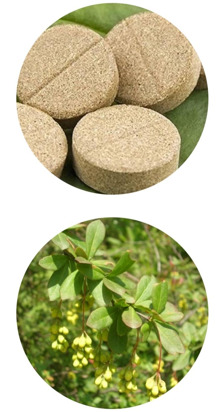 Genex Daru Haldi/Berberis aristata Extract Tablets Pack of 120 Tablets