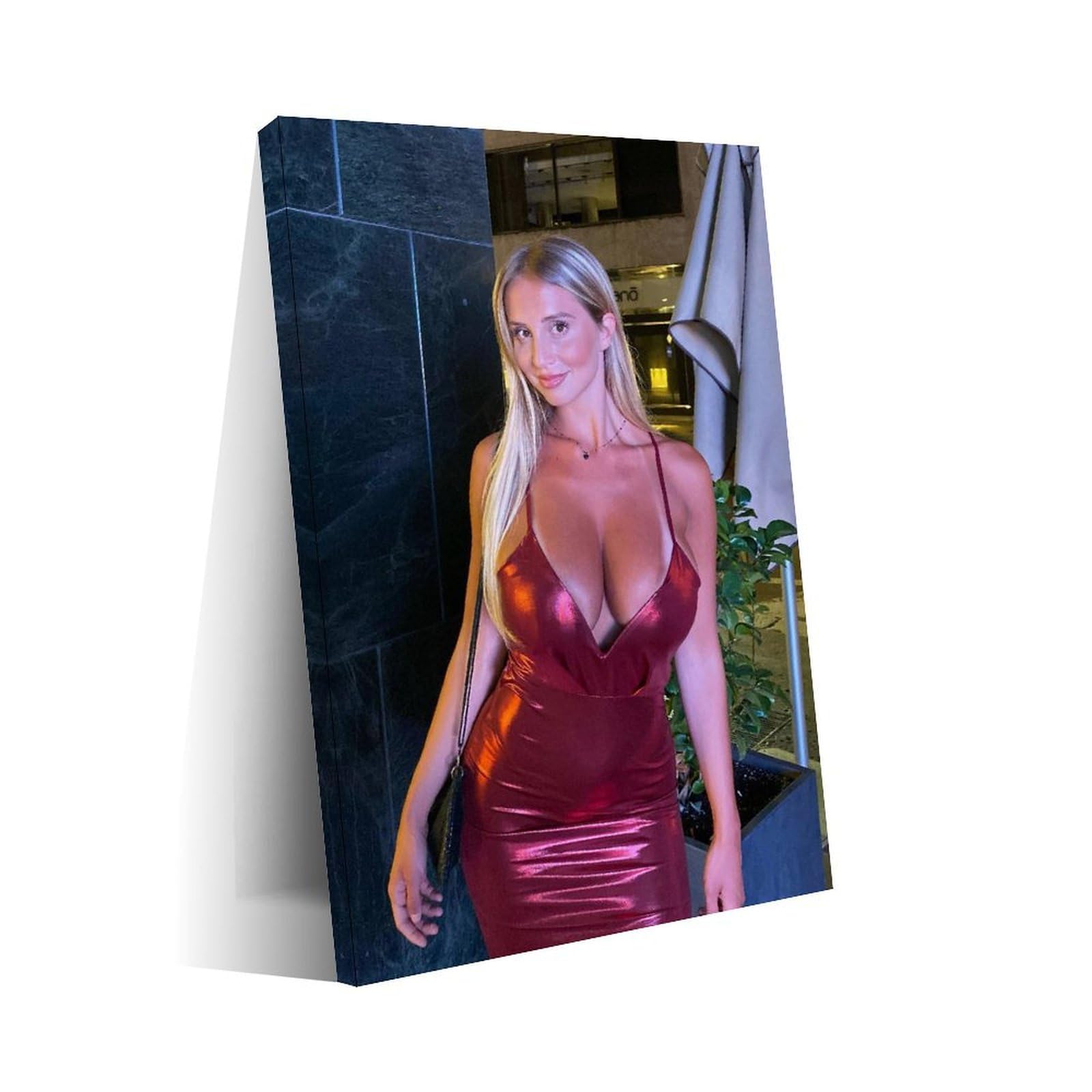 Amazon.com: Maria Arreghini - Póster artístico de modelo sexy, 3 paredes,  impresión en lienzo, sala de estar, oficina, dormitorio, póster estético,  08 x 12 pulgadas (7.9 x 11.8 in) estilo marco : Hogar y Cocina