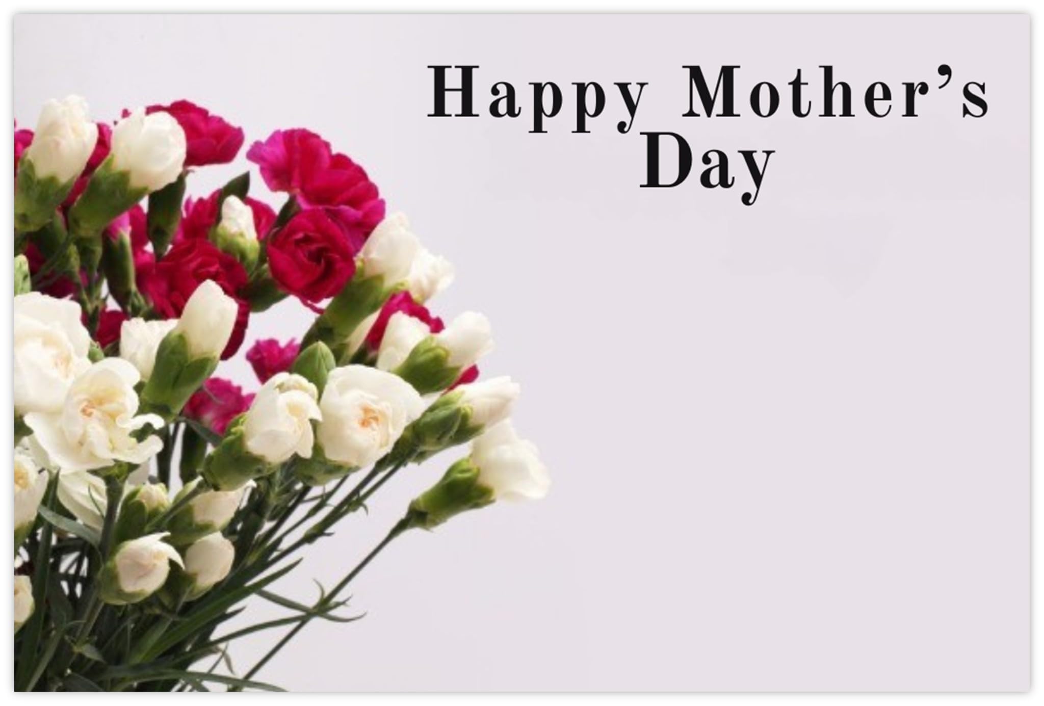 celloexpress Happy Mother's Day (Carnations) Flower Message Cards - 60mm x 90mm - Mother's Day Florist Card Gift Notes (Pack of 100) — image 1