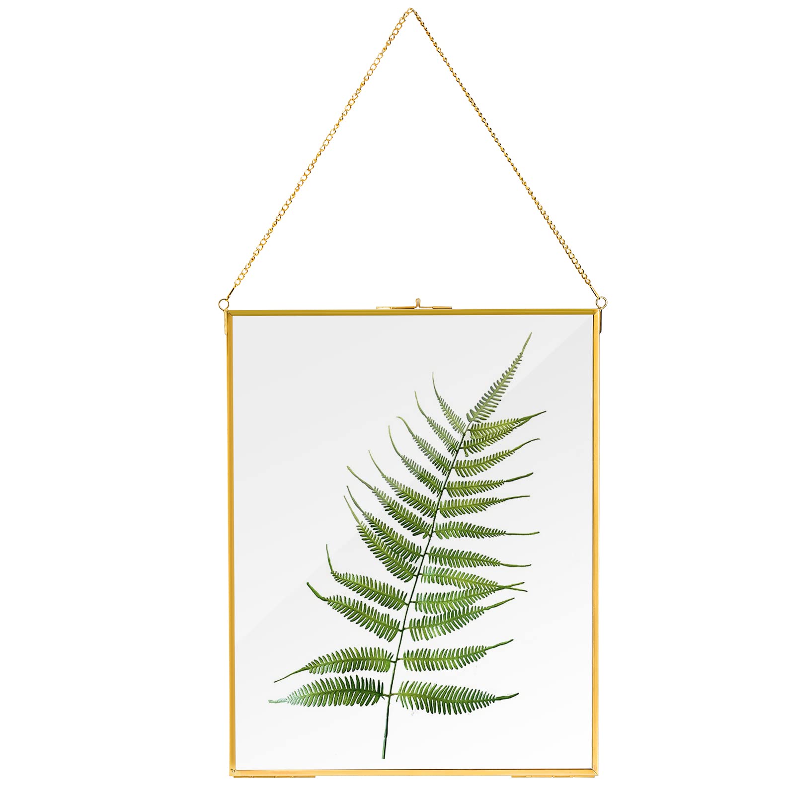 Buy AVLA Brass Hanging Photo Frame, 11x14 inch Double Glass Floating