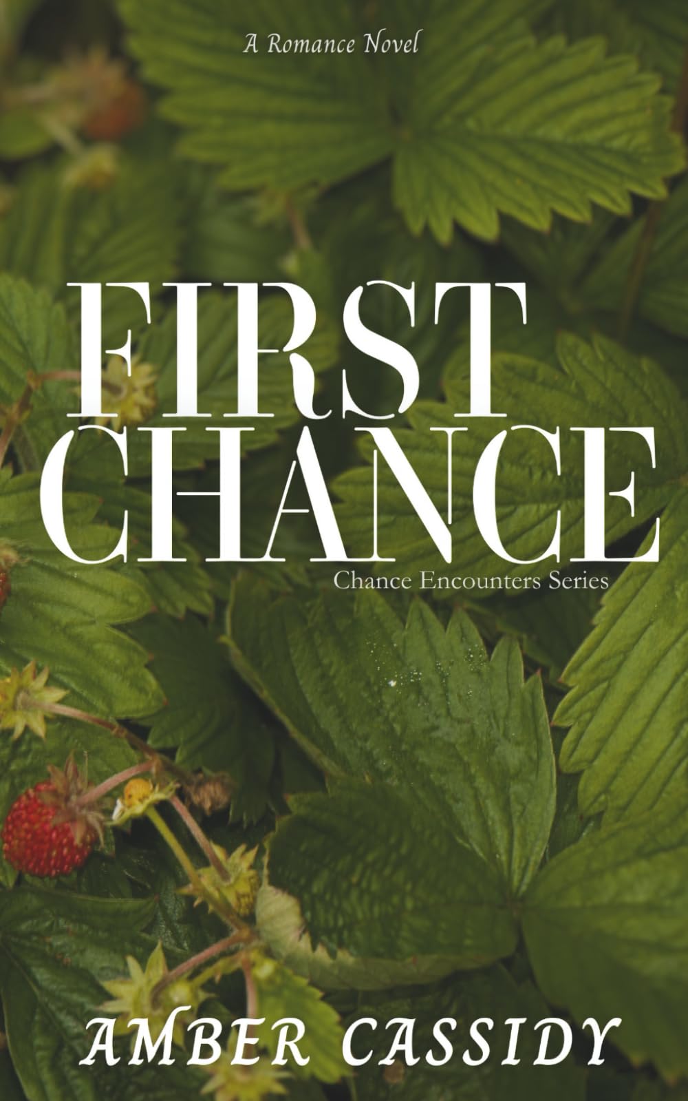 First Chance: 4 (Chance Encounters)