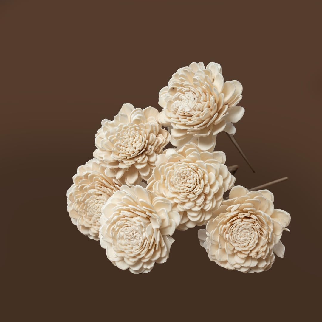 Idika Living Shola Pith Flower for Home & Office Decor | White | 6 Stems | Dried Flower