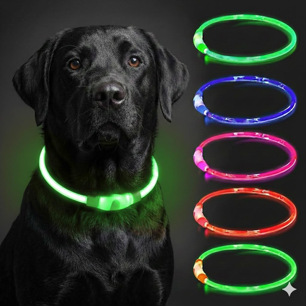 AMRO LONDON LED Light Up Glow Dog Collar, Rechargeable, 3 Flashing Modes, Night Safety, Loss & Accident Prevention, Adjustable Cut to Fit Design, Small Medium & Large Breed Dogs (Green)