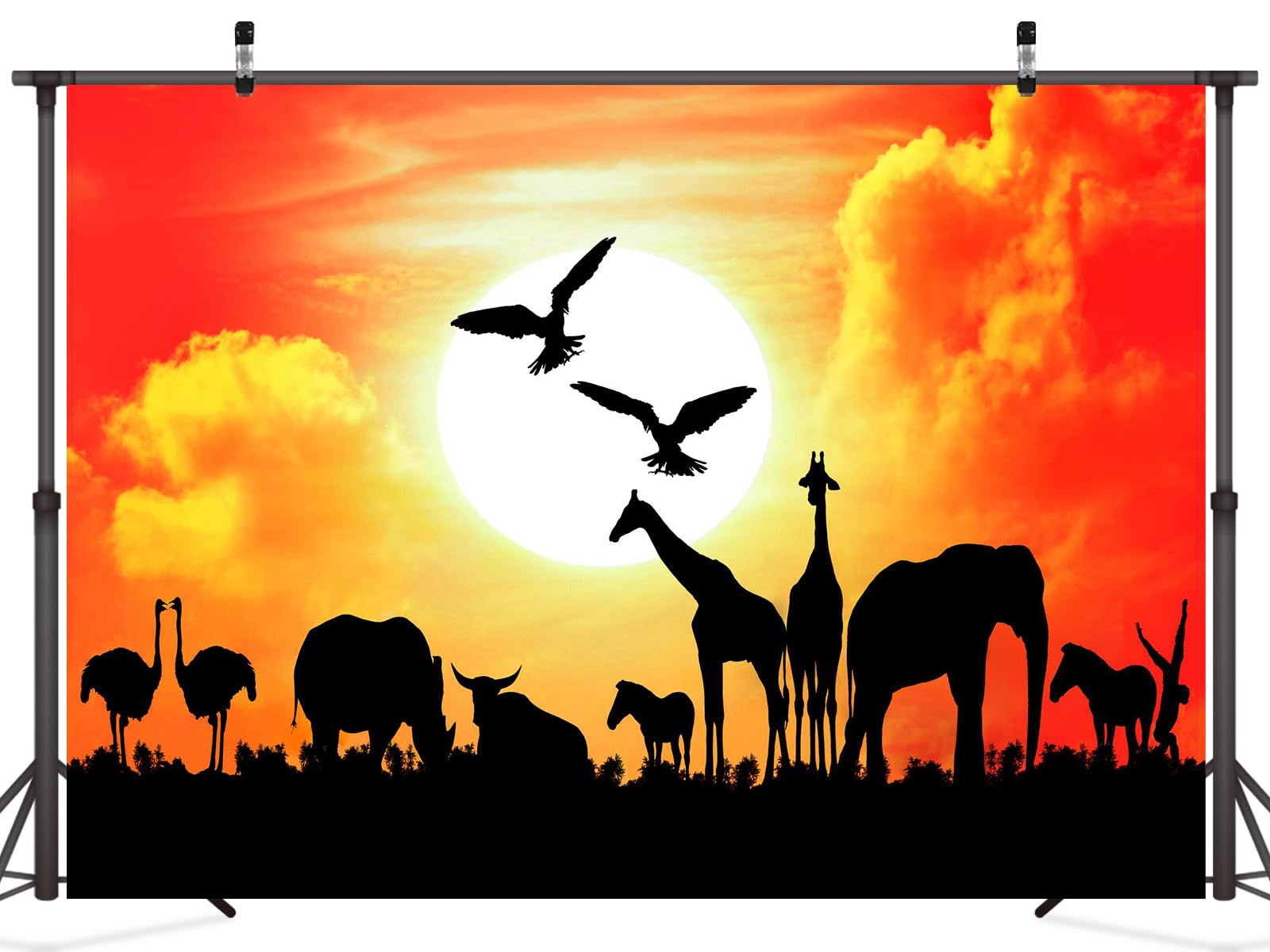 Schildkröten-Walking-Silhouette-Set-Vektor - TemplateMonster, image size:1600x1200