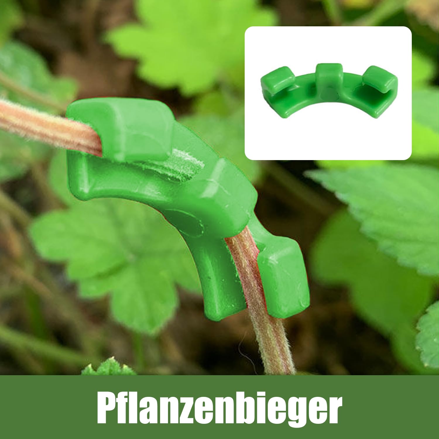 Cintreuse De Plantes,60 Pcs Cintreuses De Plantes Clips,Clip