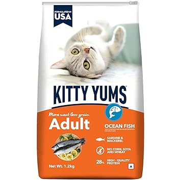 Kitty Yums Adult (+1 Year) Dry Cat Food, Ocean Fish, 1.2kg