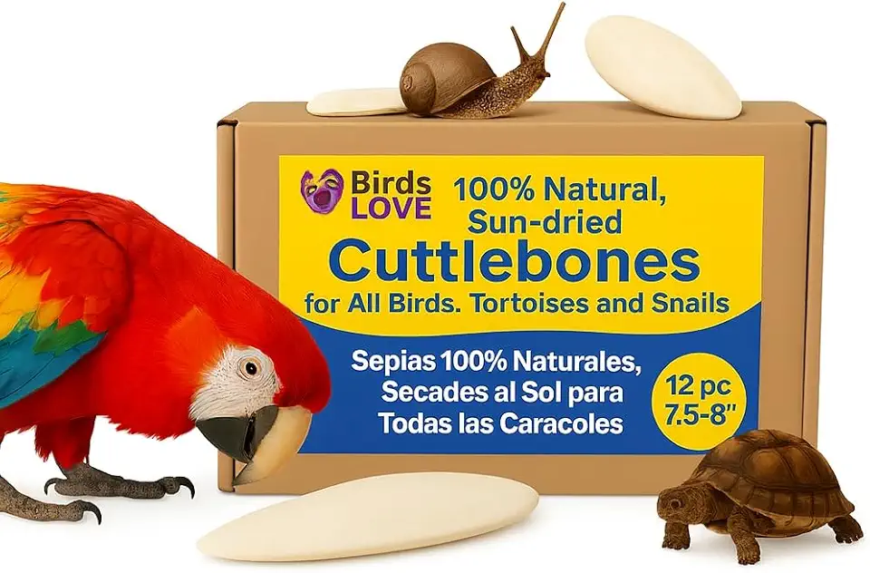 Birds LOVE Natural Cuttlebone | 100% Pure Sun-Dried Calcium Supplement for Birds, Tortoises, Snails &amp; Crabs | Supports Beak &amp; Shell Health | Easy to Chew | 12 Pack, Size 7.5 to 8"