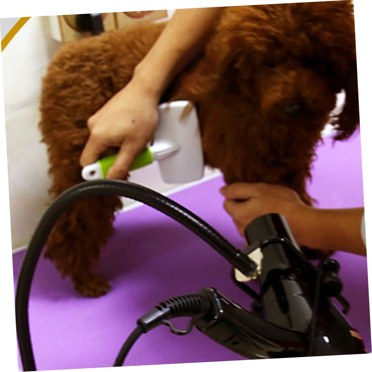 KOMBIUDA Soporte para Secador de Pelo para Clip, Acero Inoxidable, Uso en Mesa, Antideslizante y Ahorra Espacio, Libre de Uso Manual