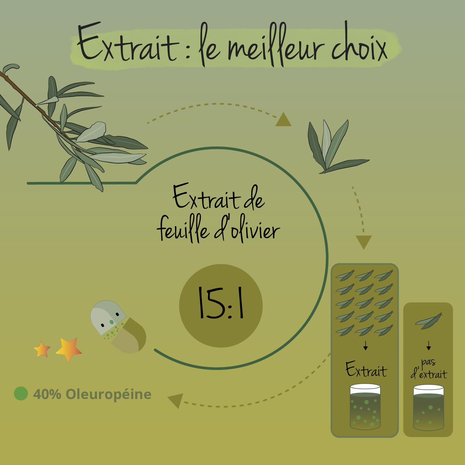 Extrait de Feuilles d'Olivier Vegavero® | 7500 mg avec 40% d'Oleuropéine | Sans Additifs | Antioxydant Puissant + Système cardiovasculaire + Tension | 90 Gélules | VEGAN