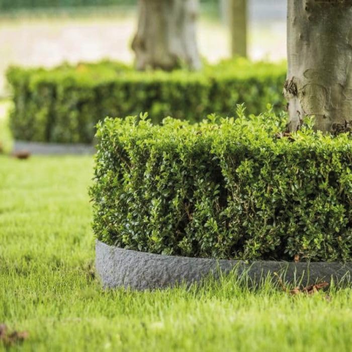 Bordura per Aiuola Ecolat 14 cm - Rotolo 20 metri