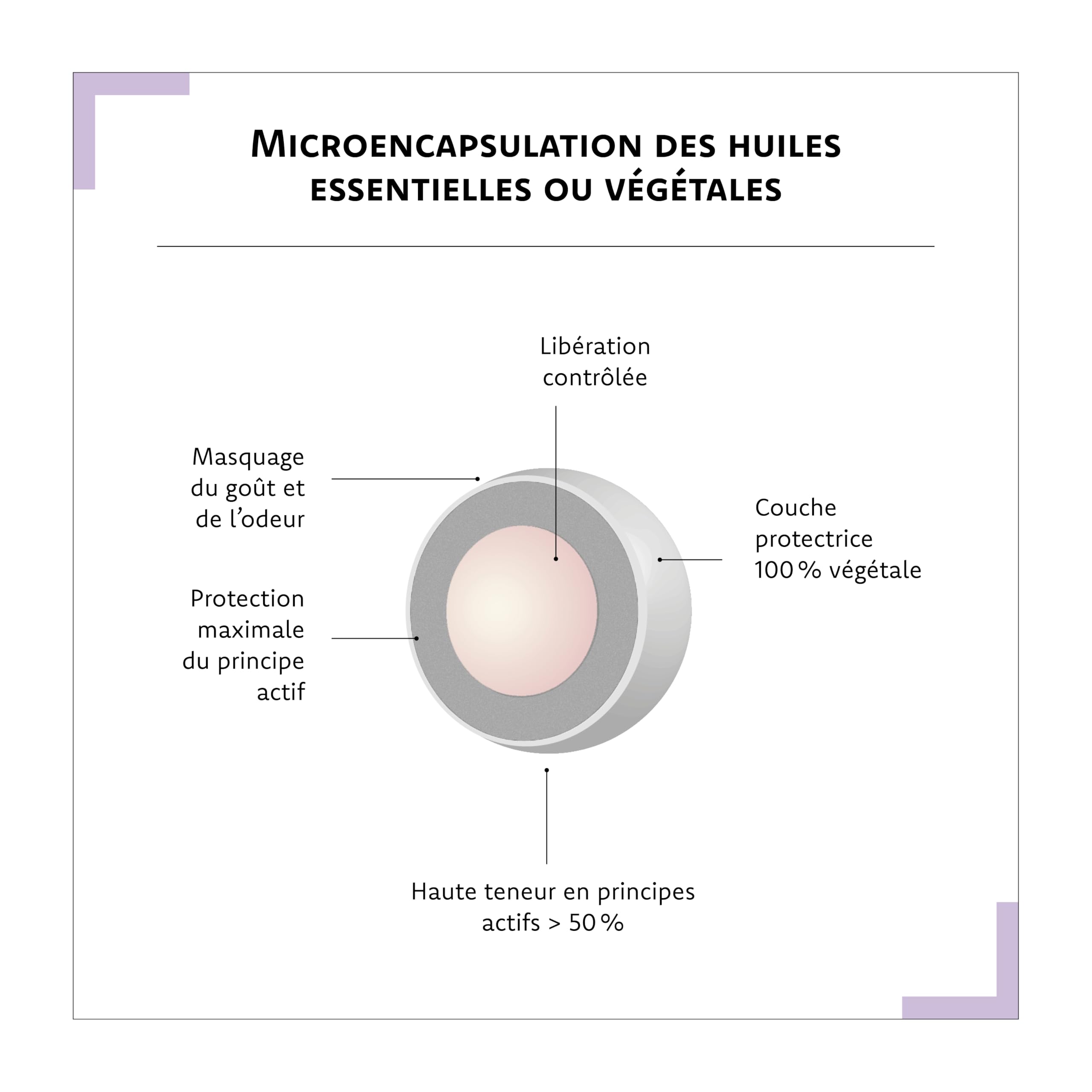 ARAGAN - Synactifs Lot de 2 Transitactifs - Complément Alimentaire Transit Intestinal - Tamarin, Mauve, Psyllium, Pruneau, Chicorée - 40 gélules - 20 jours de prise - Fabriqué en France