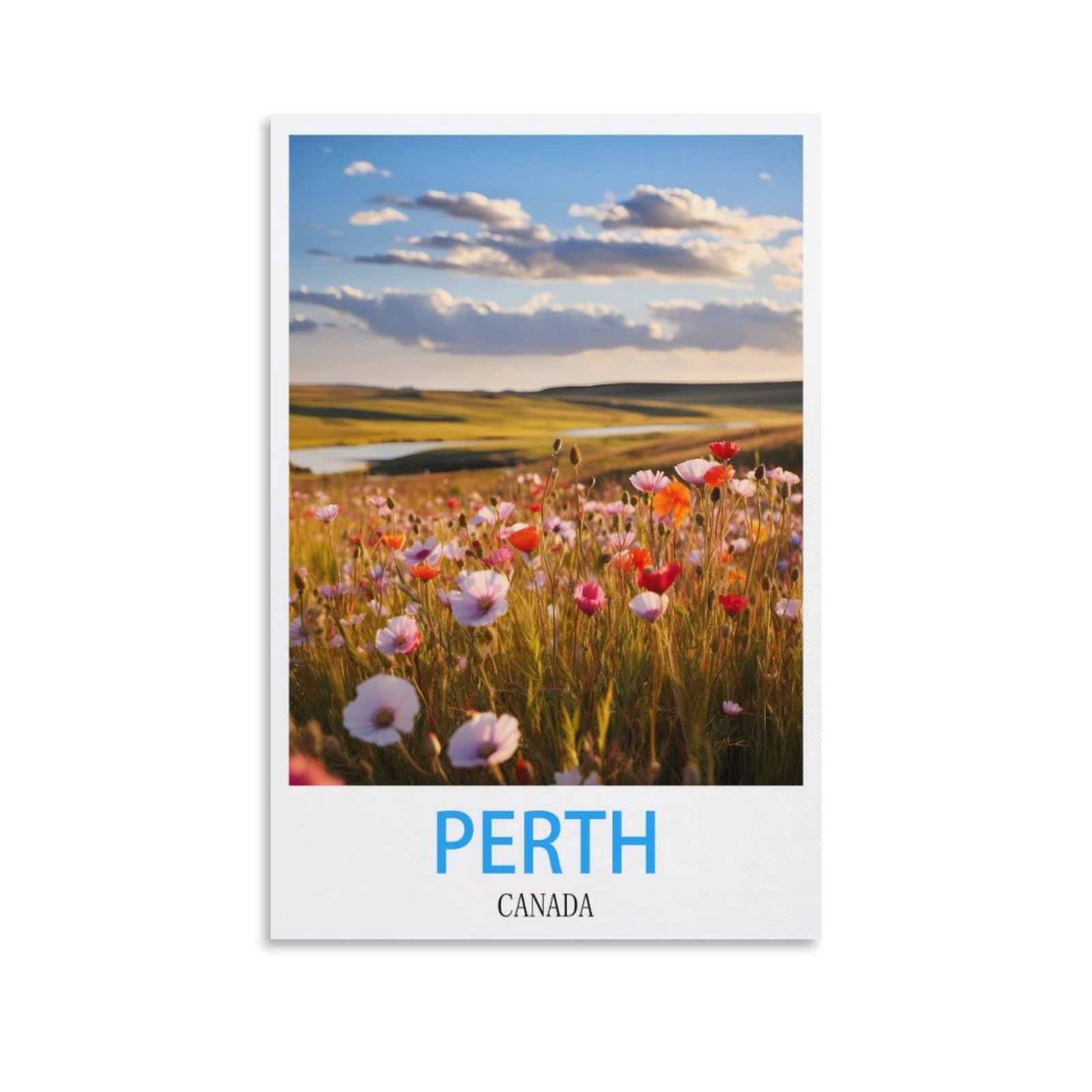 Funny Tin Signs,Perth Canadas,Funny Vintage Metal Sign Plaqu Poster Wall Art Pub Bar Kitchen Garden Bathroom Home Decor 30x30cm