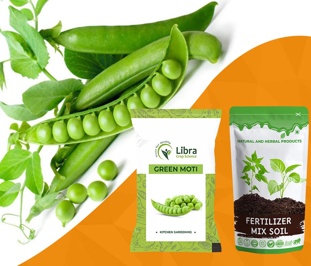 Green Pea Seeds for Planting | Farming | Home | Garden | Kitchen | Vegetable | Hybrid | Terrace | Balcony | Eating | Pisum Sativum | Vatana | Mutter | Watane - 50 Gram : 279 Seed (B0B33T96JS) Amazon Price History, Amazon Price Tracker
