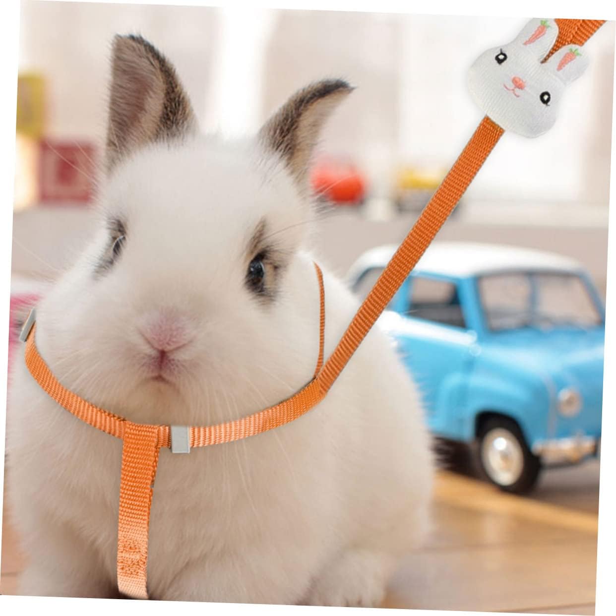 Colorful Pet Dog Harness and Leash Cat Walking Traction Rope for Dogs and Cats Safe and Comfortable Vest for Outdoor Activities Orange Fits