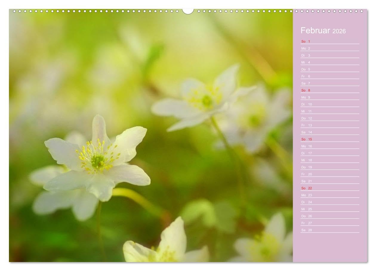 Blumenfreude Schweizer Kalendarium (hochwertiger Premium Wandkalender 2026 DIN A2 quer), Kunstdruck in Hochglanz: Mit wunderschönen Blumen und Blütenbilder durch das Jahr (CALVENDO Natur)