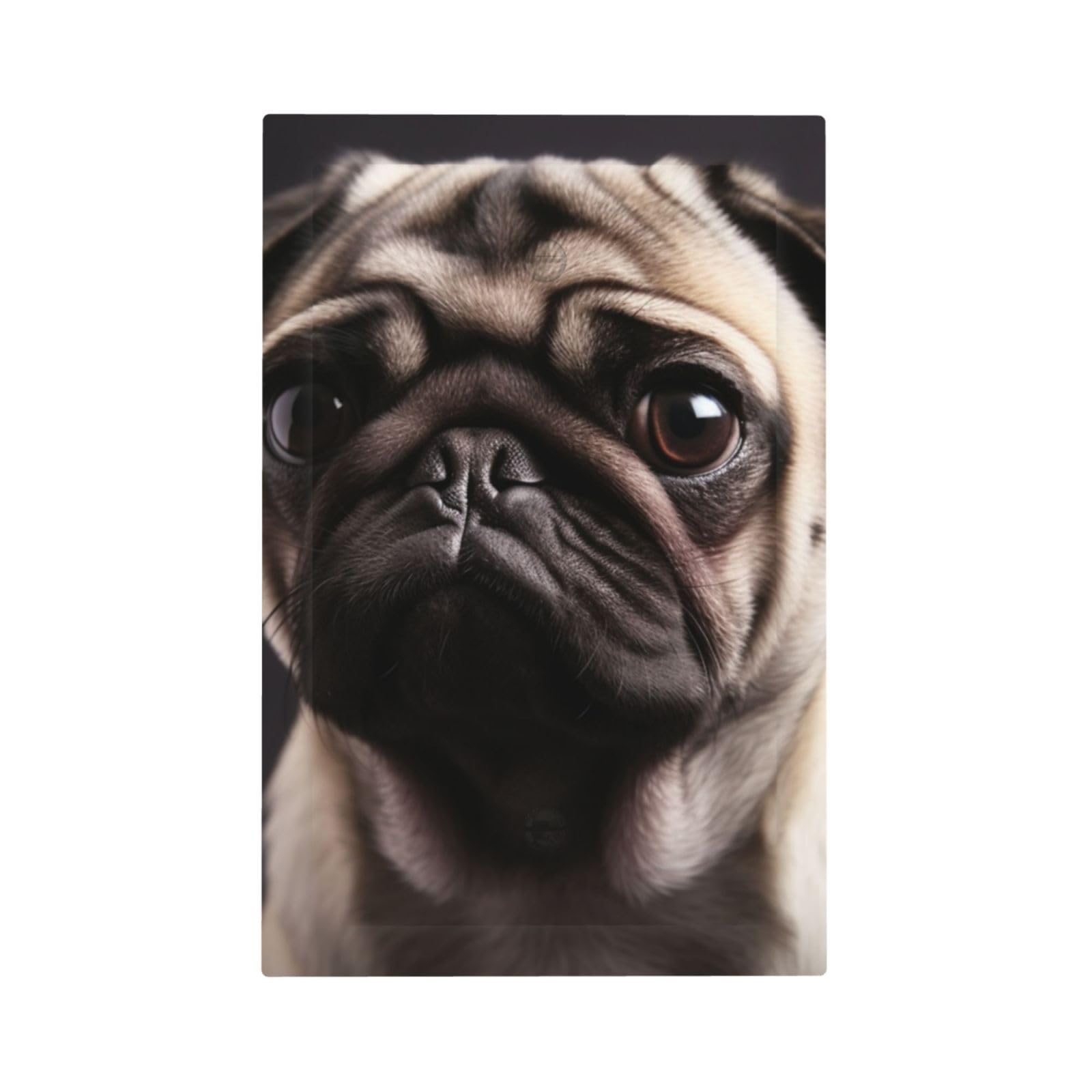 1-Gang Decorator Wall Plate pug Light Switch Cover Single Gang Receptacle Outlet Wall Plate Mid Size 5" x 3" Wallplate Unbreakable Polycarbonate Outlet Faceplates Covers