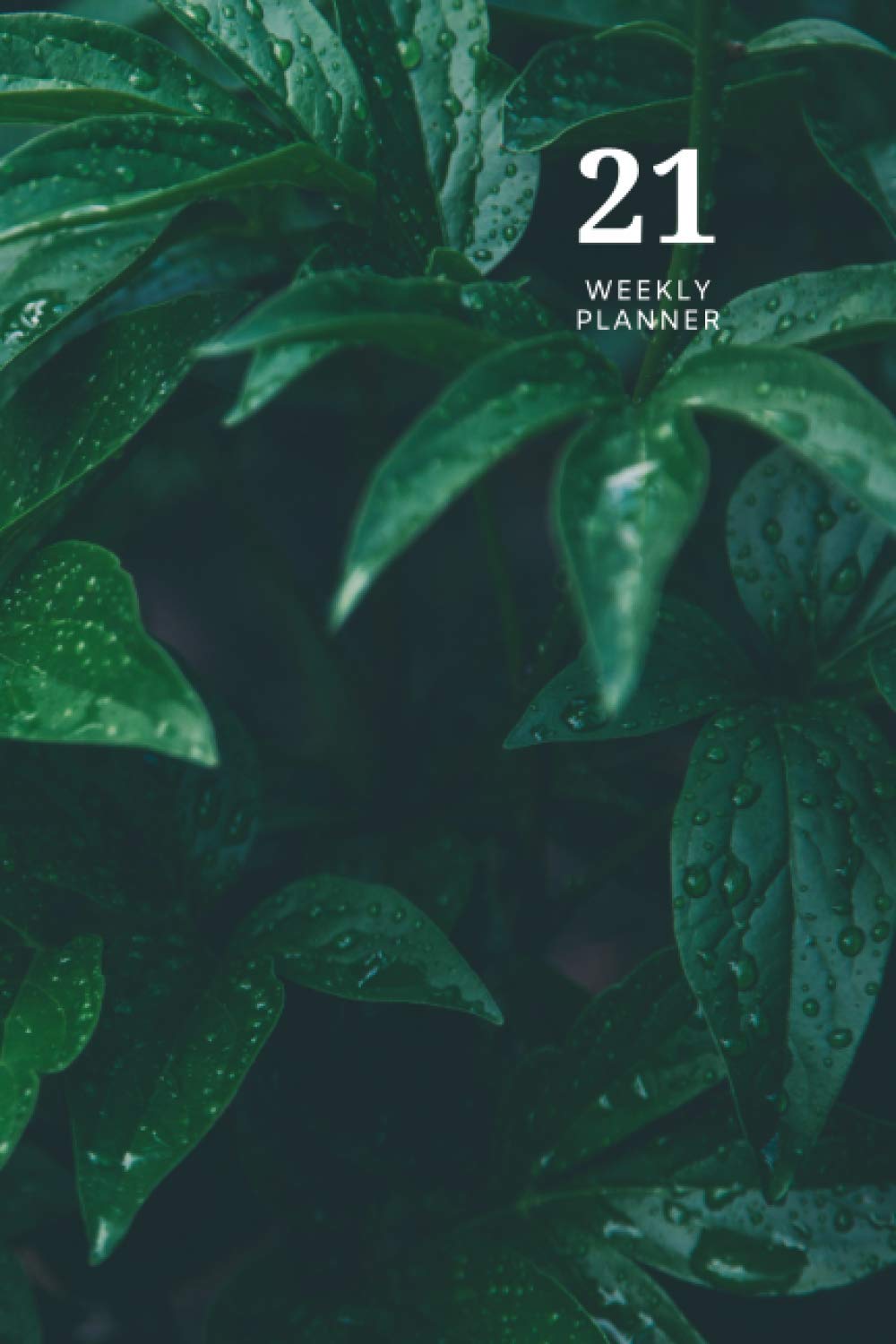 2021 Planner - Weekly Planner, Wet Tree Leaves (January 2021 - December 2021), 6" x 9": White Paper Weekly Appointment Book & Planner Agenda Calendar Organizer