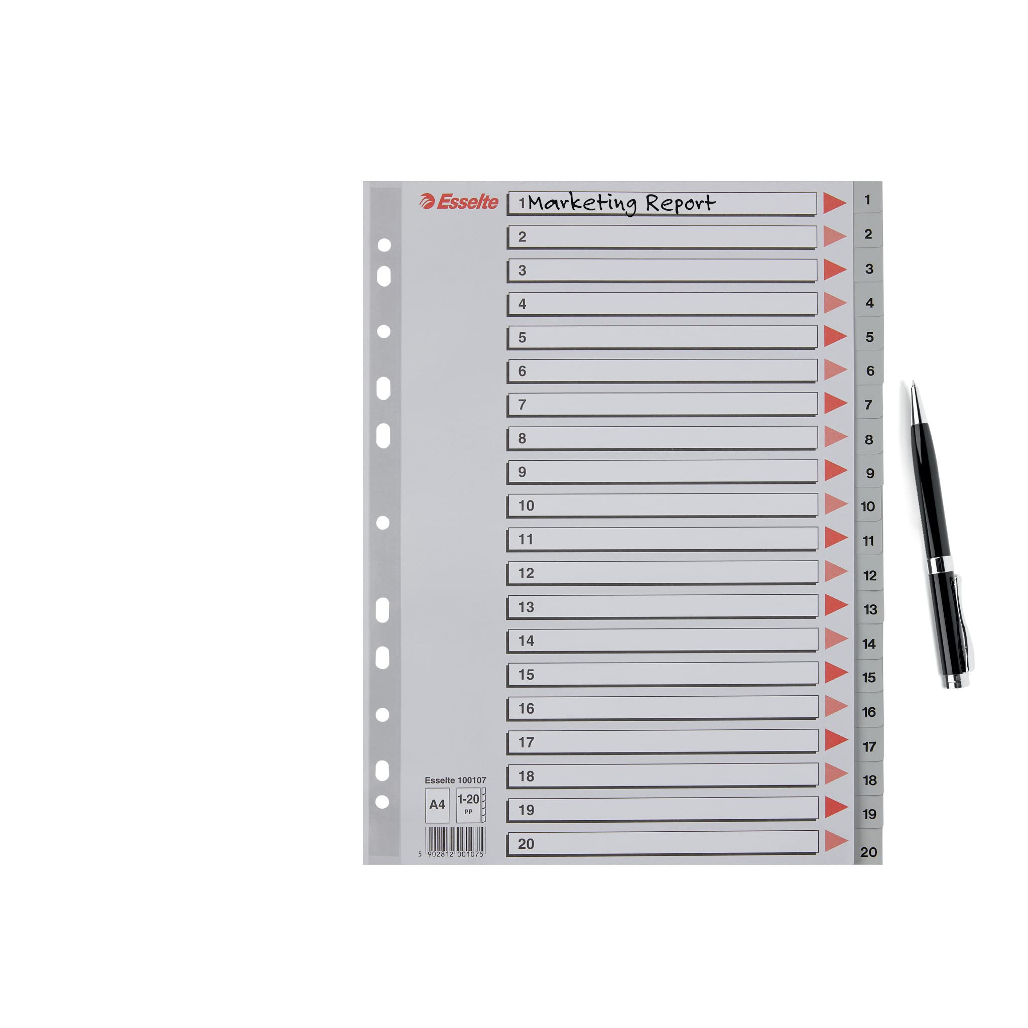 Rubrica Con Tasti Esselte A4 - Divisori Numerati 1-20 In Polipropilene Grigio