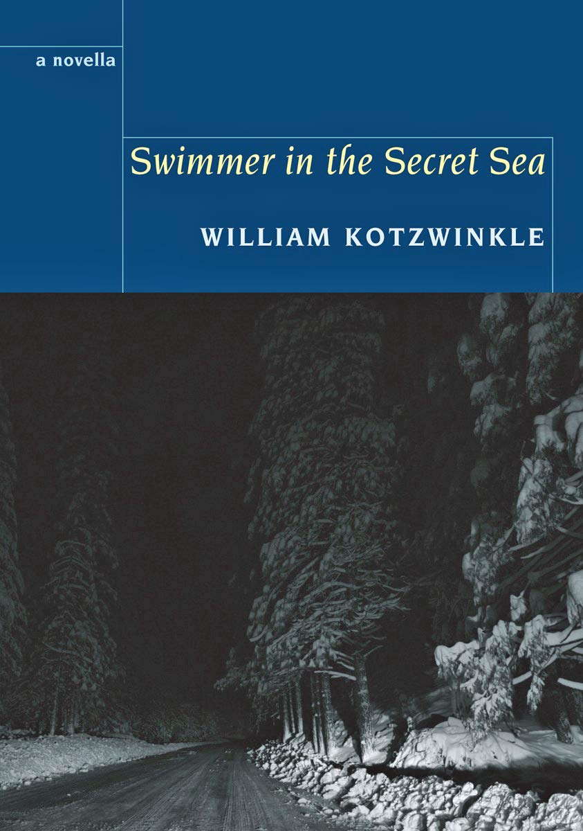 Buy Swimmer in the Secret Sea — BookShops.in