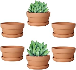 vensovo 4.5 Inch Terracotta Shallow Succulent Pot - 6 Pack Terra Cotta Clay Pots with Saucer, Cacuts Terra-Cotta Indoor and Outdoor Planters with Drainage Hole