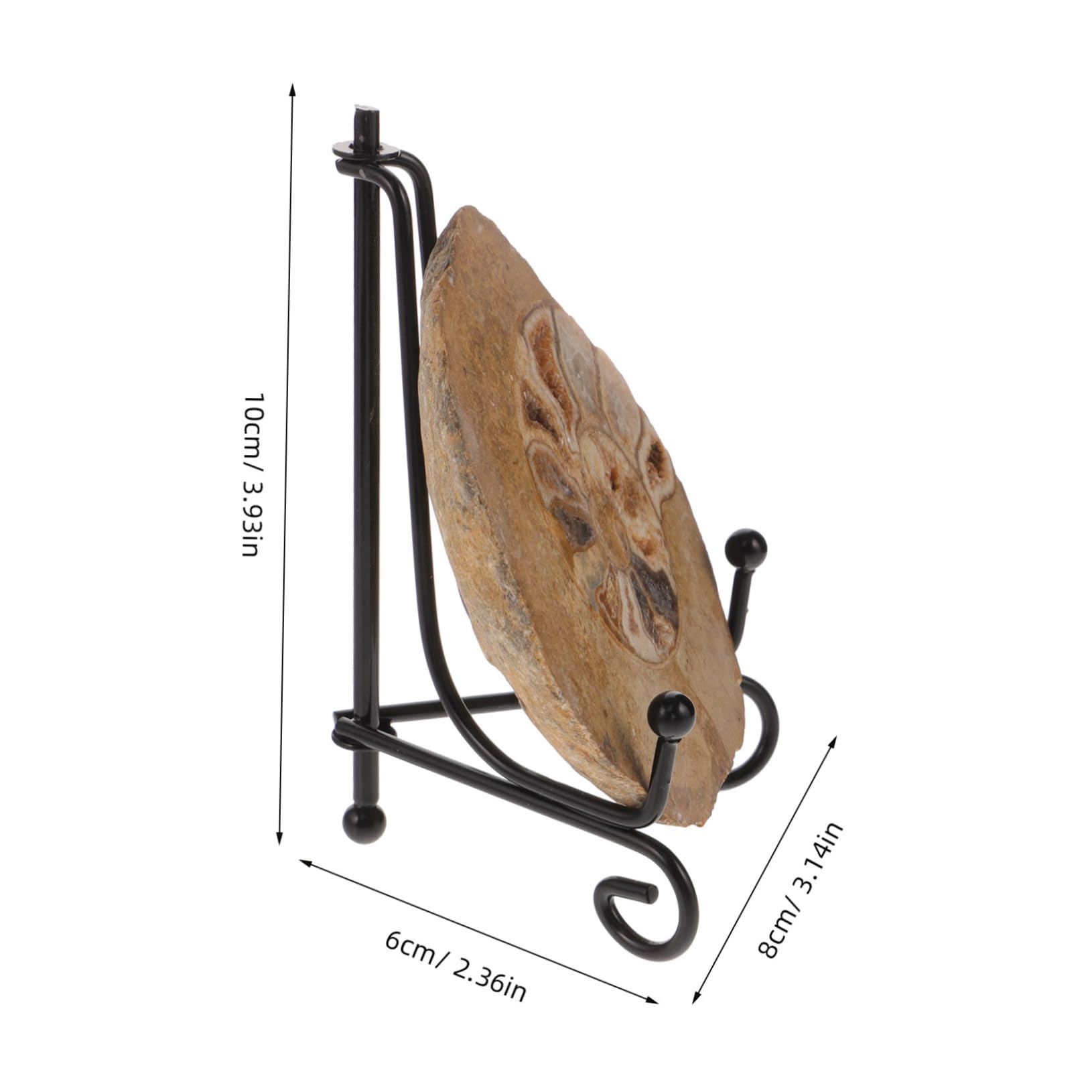 Spécimen D'ammonite Fossile Naturel Ornement Esthétiquement Impressionnant Forme Préservée pour Décoration de Table et Collection pour Amateurs de Géologie