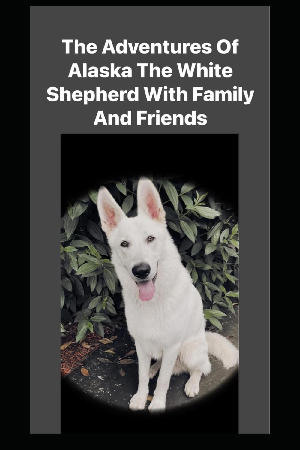 The adventures of Alaska the white shepherd with family and friends