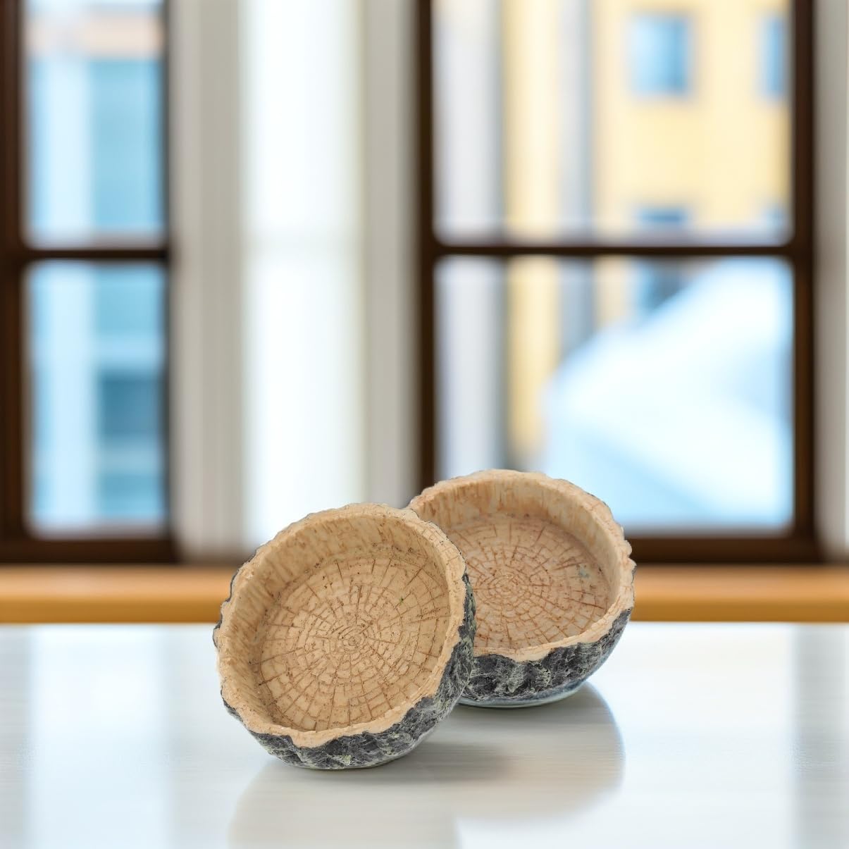 Totority 2Pcs Reptile Feeding Bowl Snake Water Dish Smooth Surface Pet Water Feeder for Tortoise Lizard for Easy Feeding Drinking Non Slip Design Durable Material