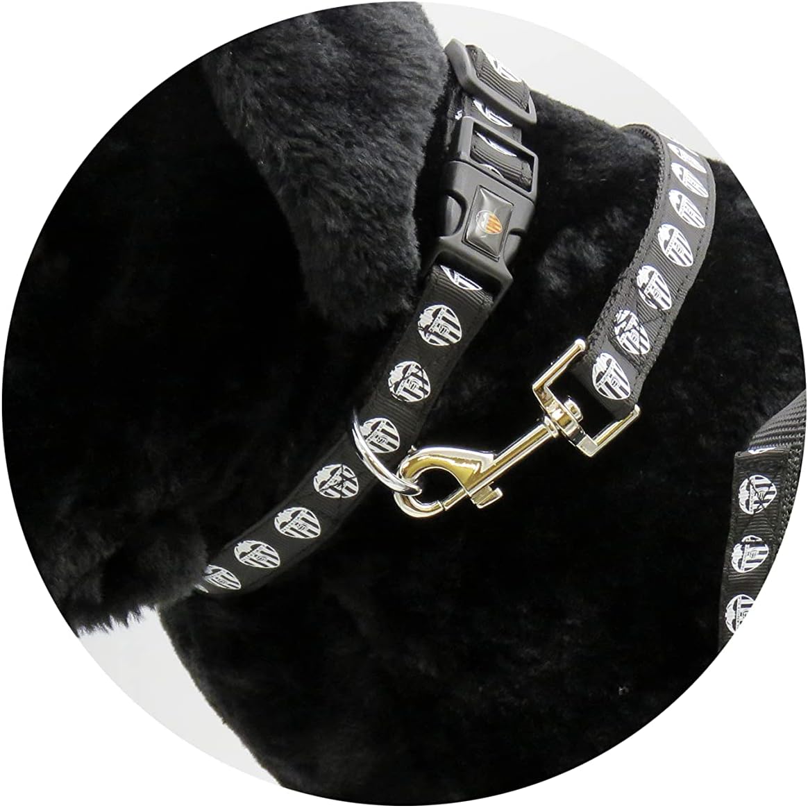 Dog Collar - Size S - Valencia, Pet Accessories, Football, Official Product (CyP Brands) 5