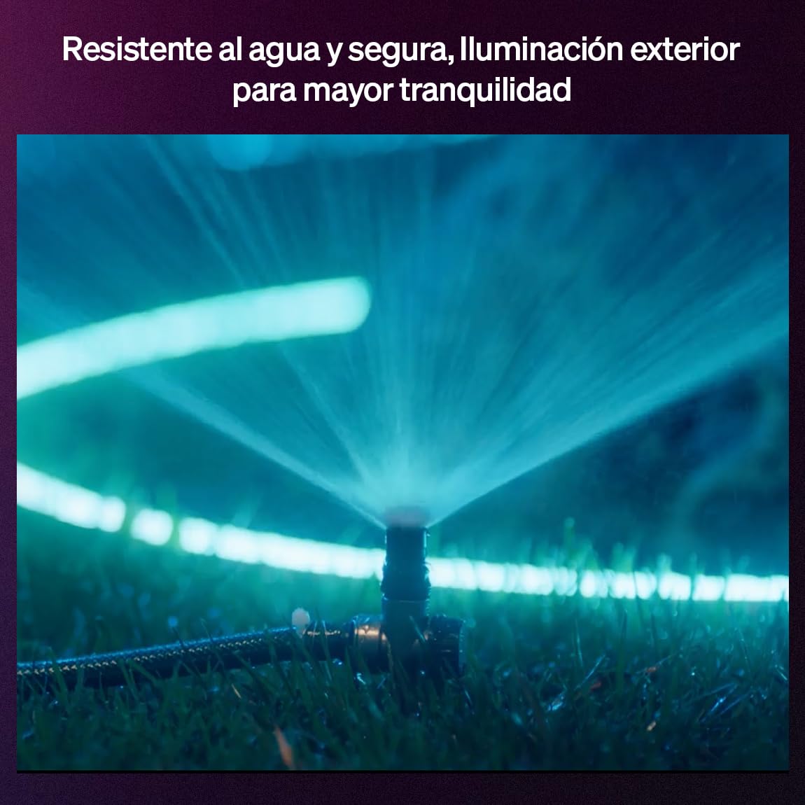 Philips Hue Neon Tira LED inteligente 5M, RGB, 1100 lm, iluminación exterior, tecnología Chromasync™, resistente al agua, baja tensión, control por app y voz, con Alexa, Google Assitant,Apple HomeKit