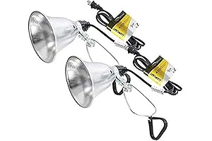 Simple Deluxe 2-Pack Clamp Light with 5.5 Inch Aluminum Reflector