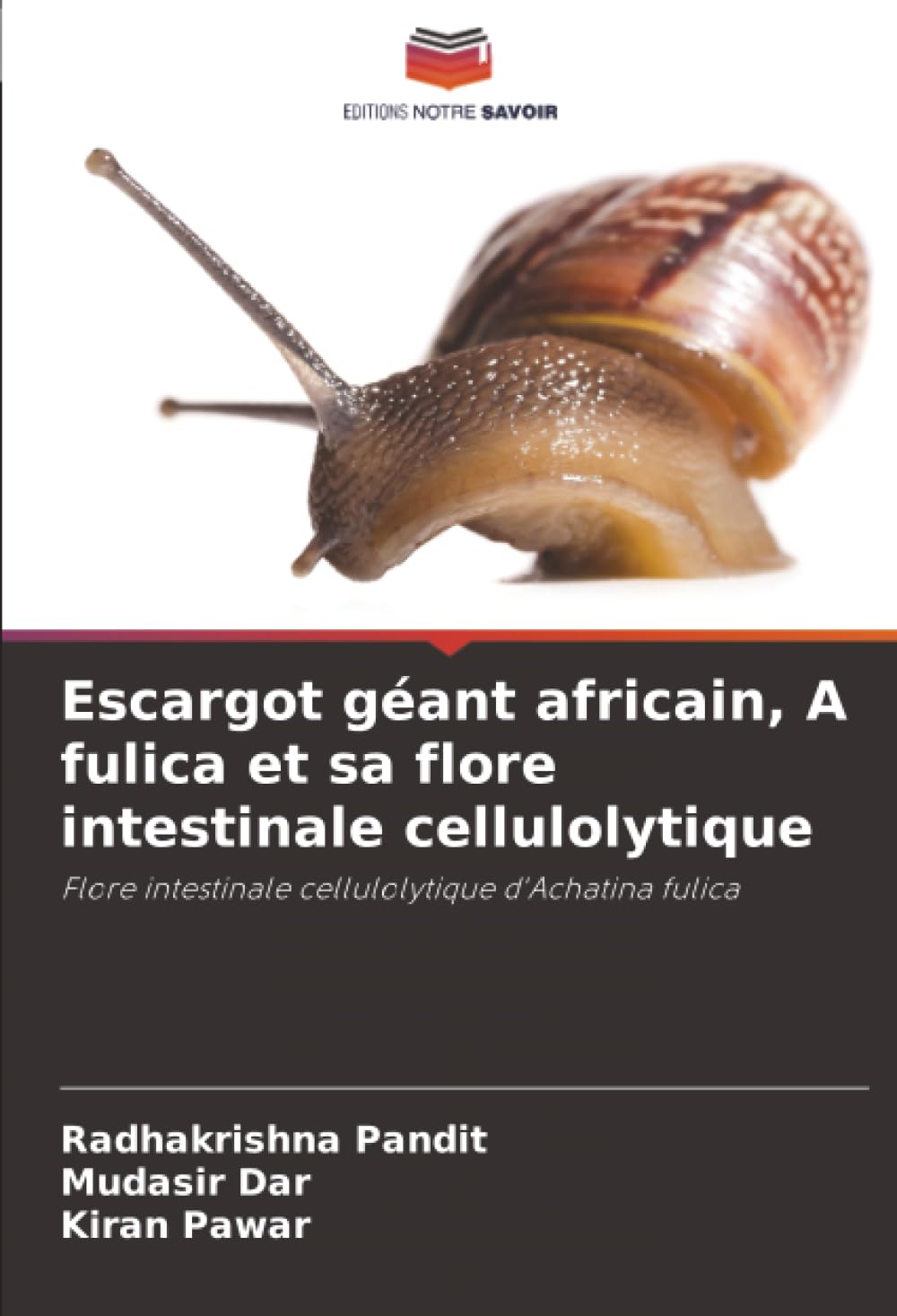 Escargot géant africain, A fulica et sa flore intestinale cellulolytique: Flore intestinale cellulolytique d'Achatina fulica