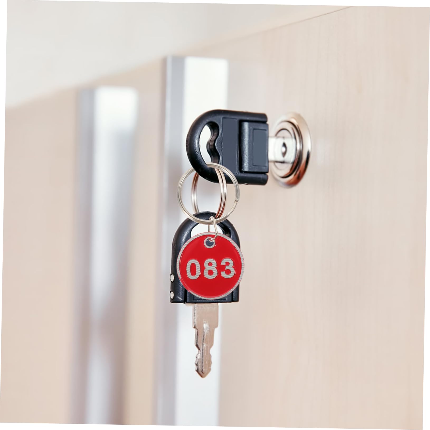 Targhette Numerate Rosse 100 Pezzi in Lega di Alluminio Chiavi per Organizzare e Conservare per Chiavi e Carte in Hotel e Ristoranti