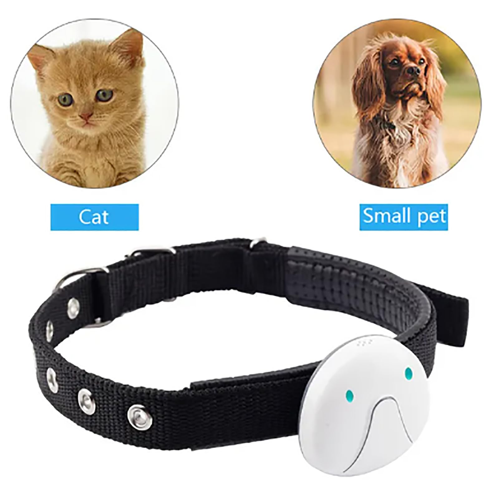 ERICAT Localizador GPS para Mascotas, Rastreador De Mascotas con Collar, Diseño a Prueba De Agua, Posición GPS Y Rastreador De Actividad Inteligente, Llamada De Voz Remota, para Gatitos Y Cachorros