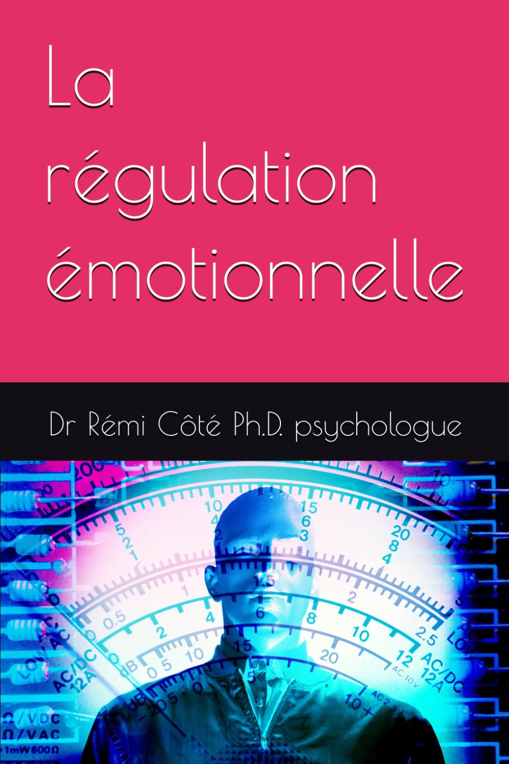 La régulation émotionnelle (hypnose-clinique.ca)