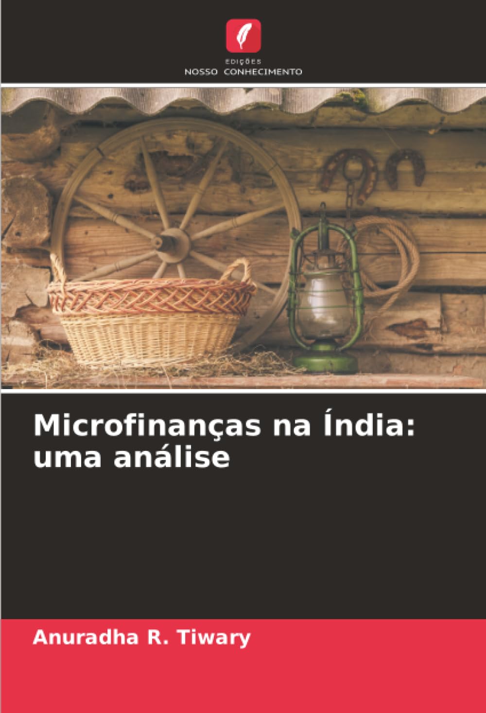 Microfinanças na Índia: uma análise