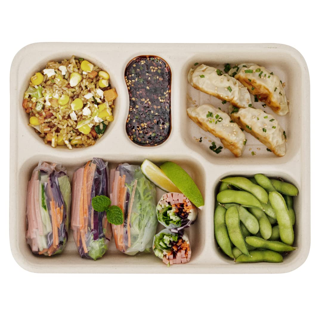 Restaurantware Pulp Tek - Recipientes de 1,219.0 g para llevar, 100 recipientes sostenibles, tapas se venden por separado, 5 compartimentos, platos de bagazo hechos de fibras de caña de azúcar, aptos
