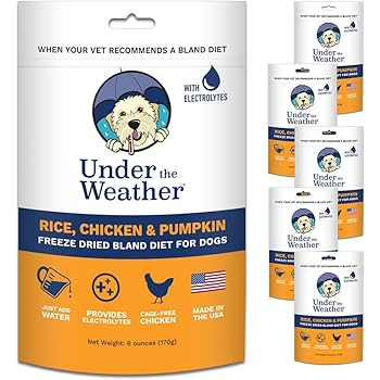 pumpkin for sick dogs