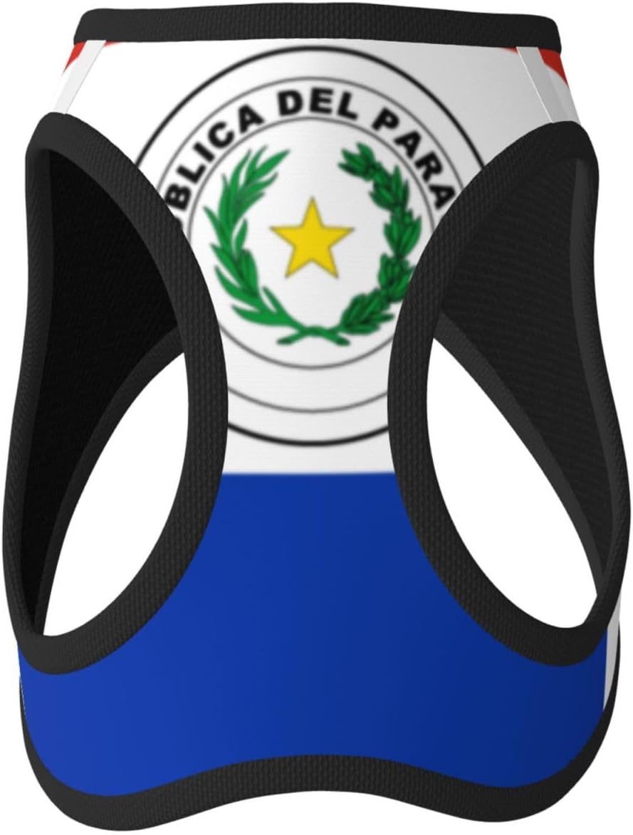 Flag of Paraguay Pet Vest Small Size Dog Harness and Leash Set, Reflective & Breathable for Puppy Training with Accessories Large