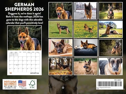 Vista 234 de Calendario Goldendoodle 2026 Golden Doodle mensual de pared calendario de 12 meses Fabricado en Estados Unidos