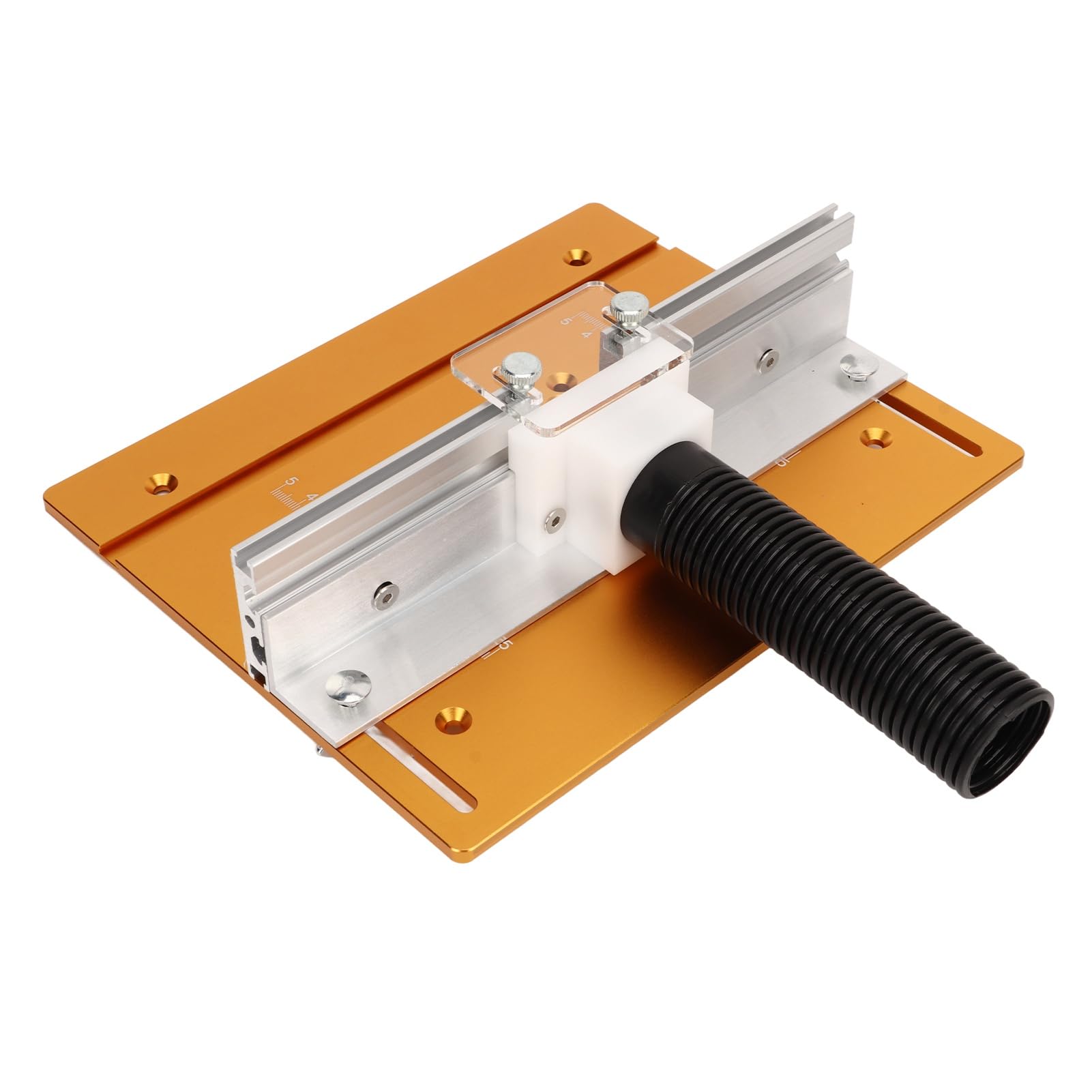 Placa de Inserción para Carpintería, Portaobjetos de Vidrio Transparente para Microscopio, 10 Piezas con Muestras para Tejidos de Animales, Insectos y Plantas, Adecuado para