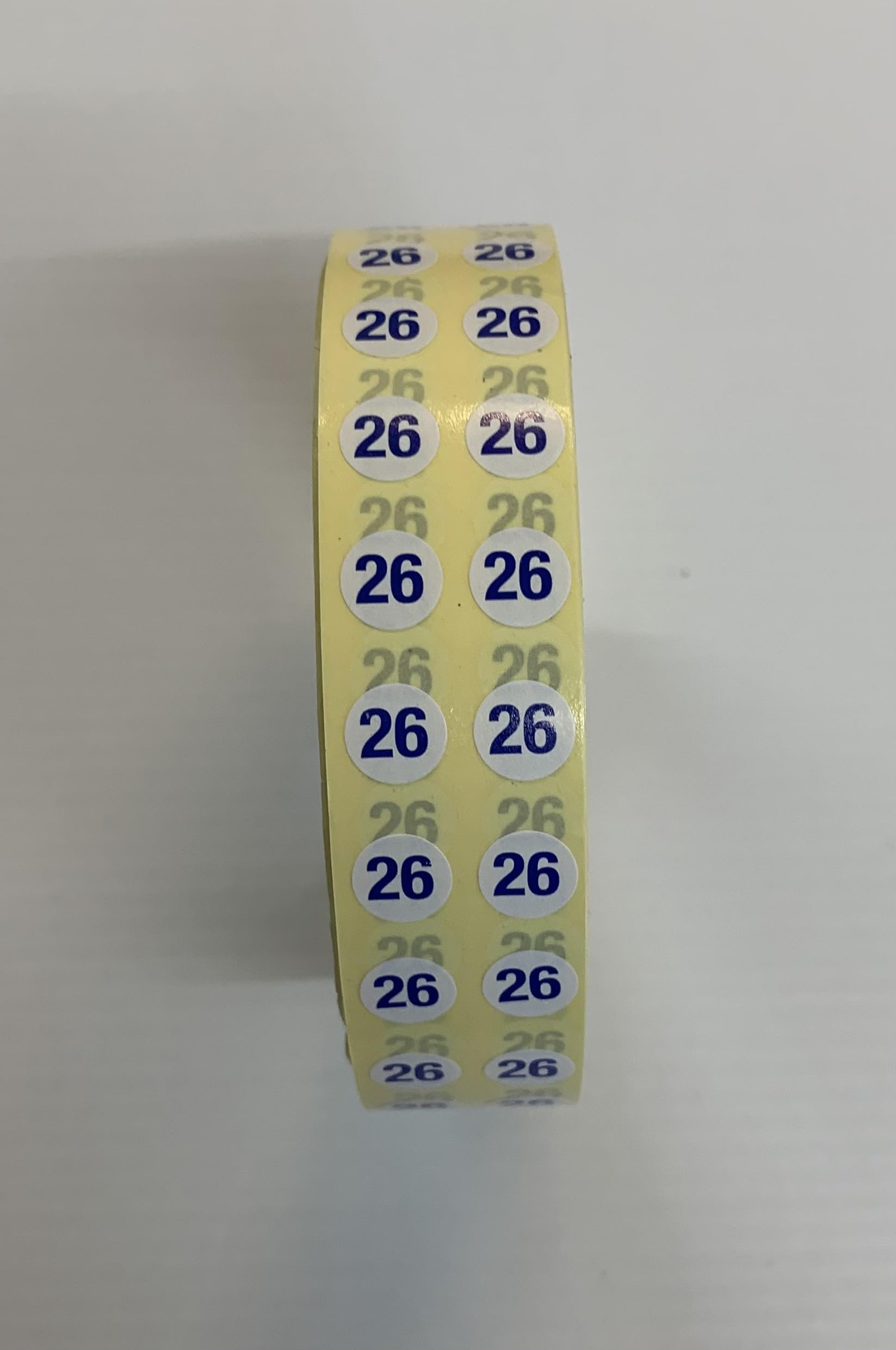 Fsss Ltd Red 1000 Fire Extinguisher Gauge Dots 2026 Blue Servicing Engineers Safety Compliant